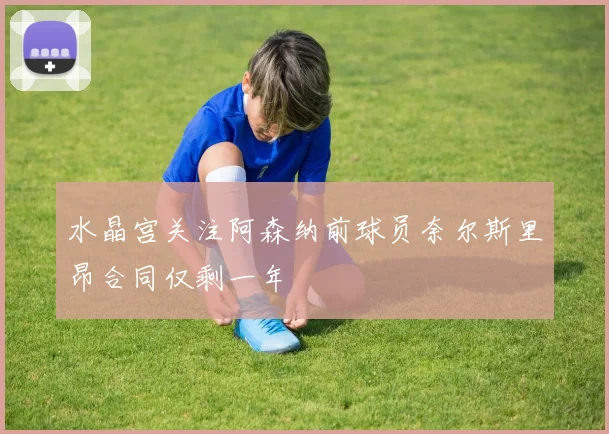 水晶宫关注阿森纳前球员奈尔斯里昂合同仅剩一年