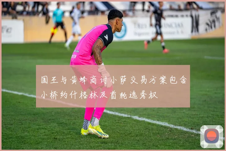 国王与黄蜂商讨小萨交易方案包含小桥约什格林及首轮选秀权