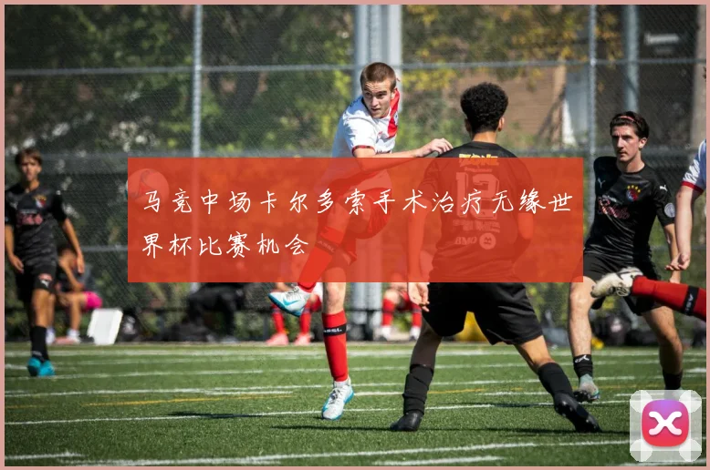 马竞中场卡尔多索手术治疗无缘世界杯比赛机会
