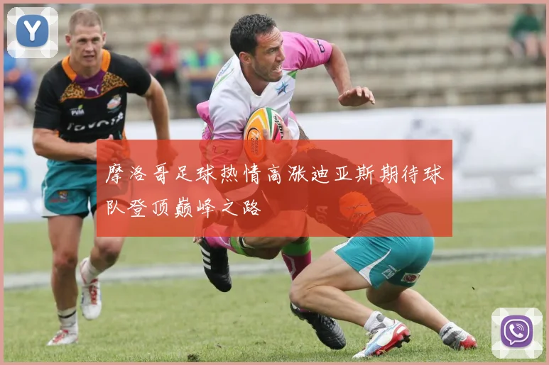 摩洛哥足球热情高涨迪亚斯期待球队登顶巅峰之路
